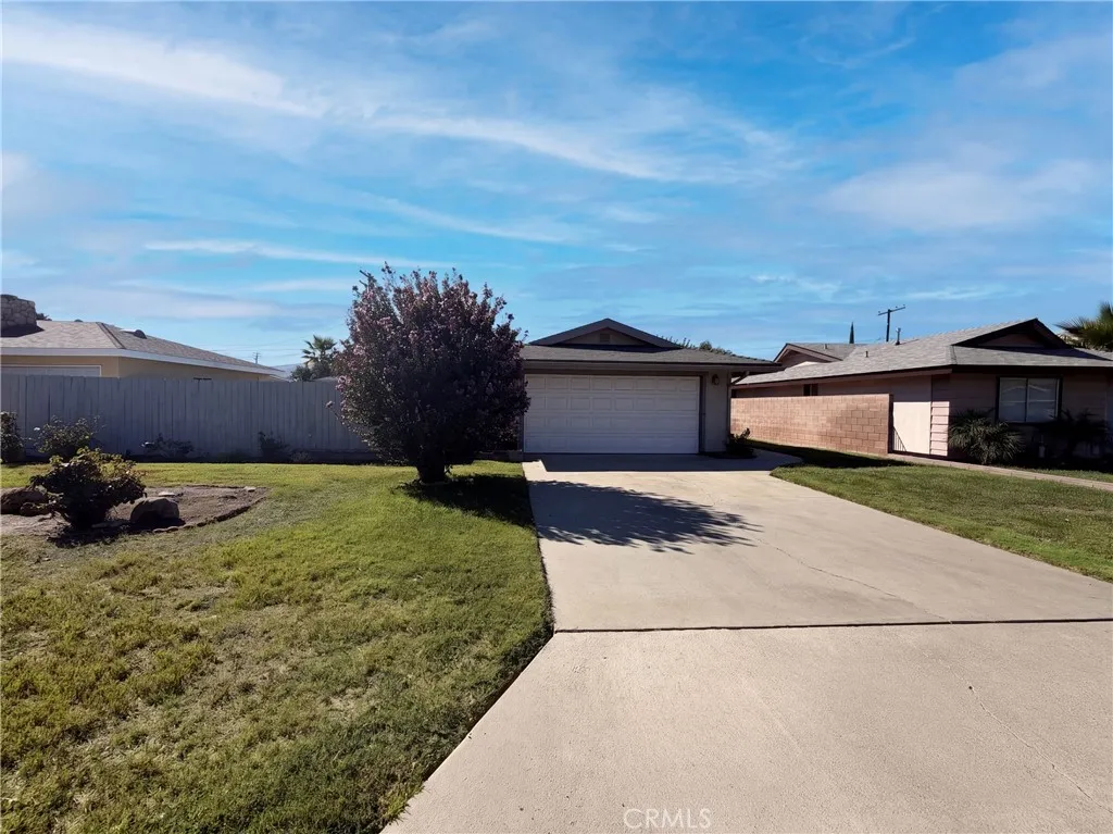 41219 Tava — photo