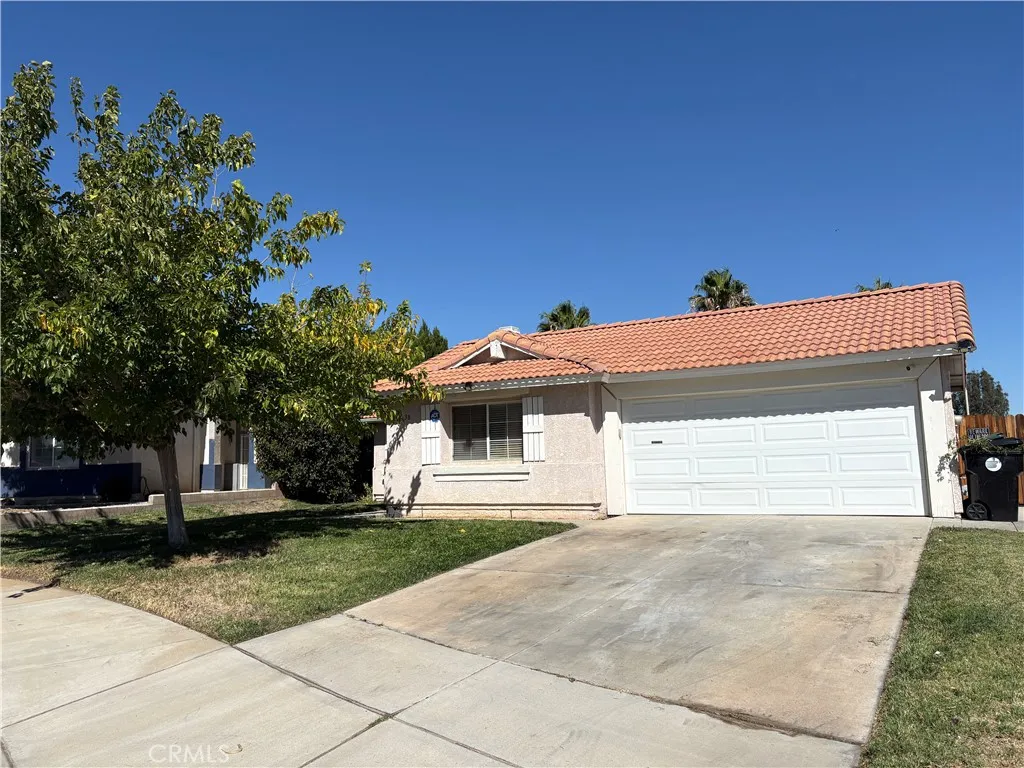 13738 Sarracino — photo