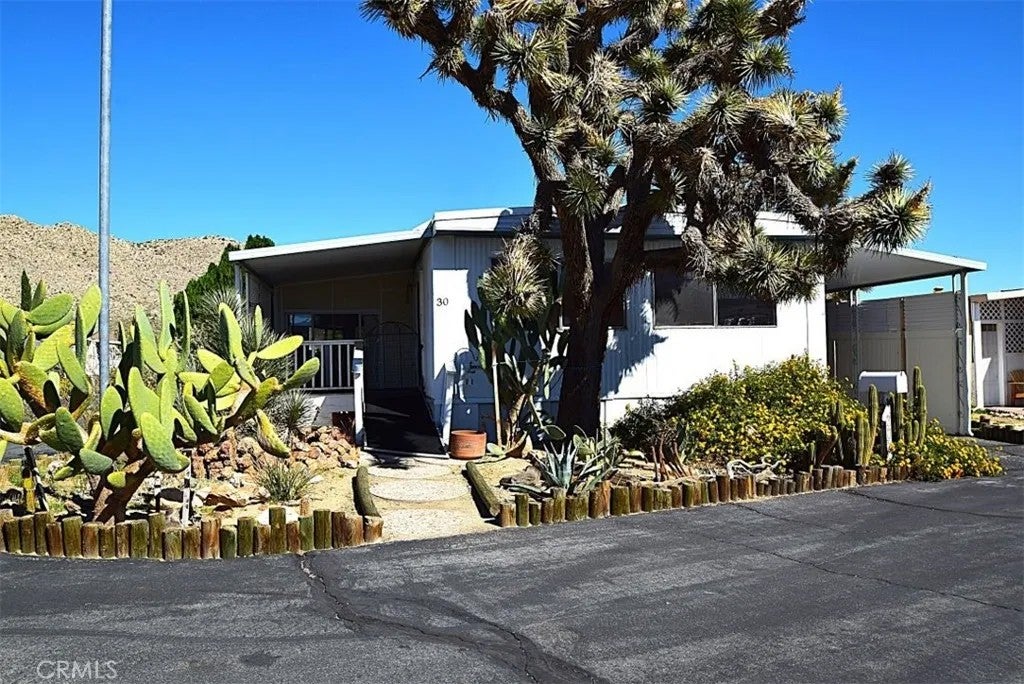56254 29 Palms 30 — photo