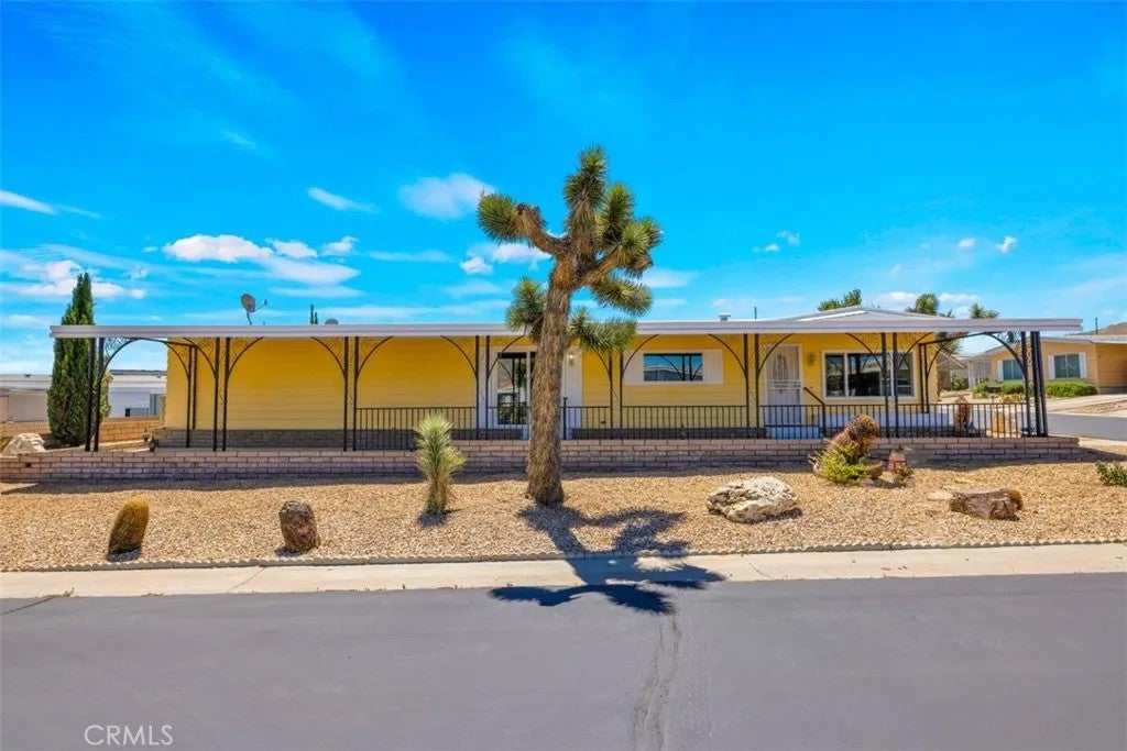 7501 Palm 88 — photo