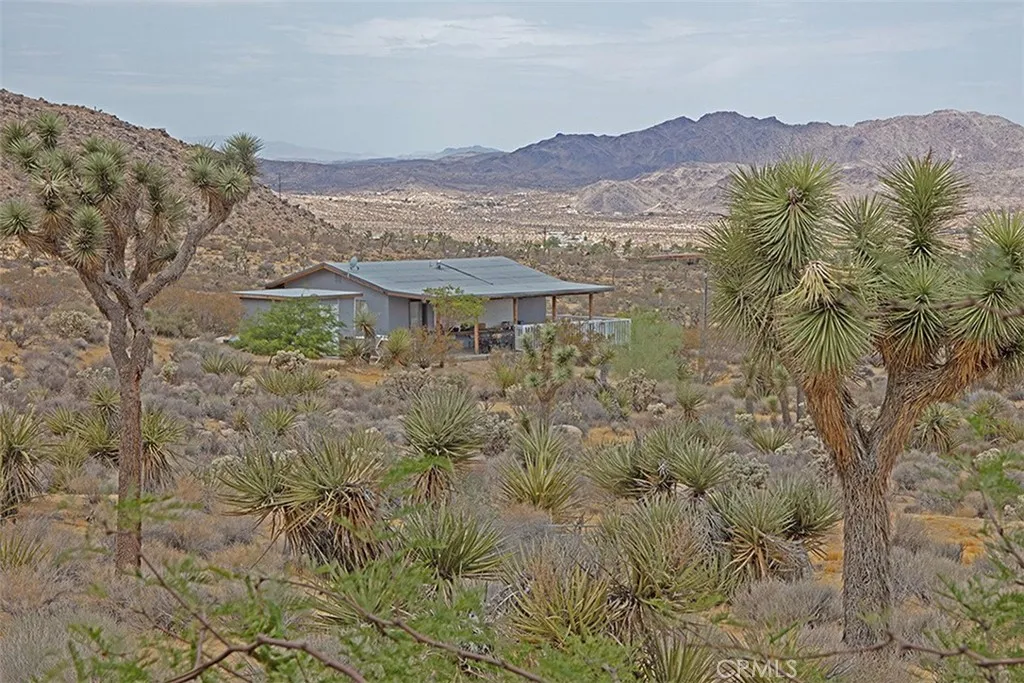 8421 Sunset Road, Joshua Tree, CA 92252 — photo 2