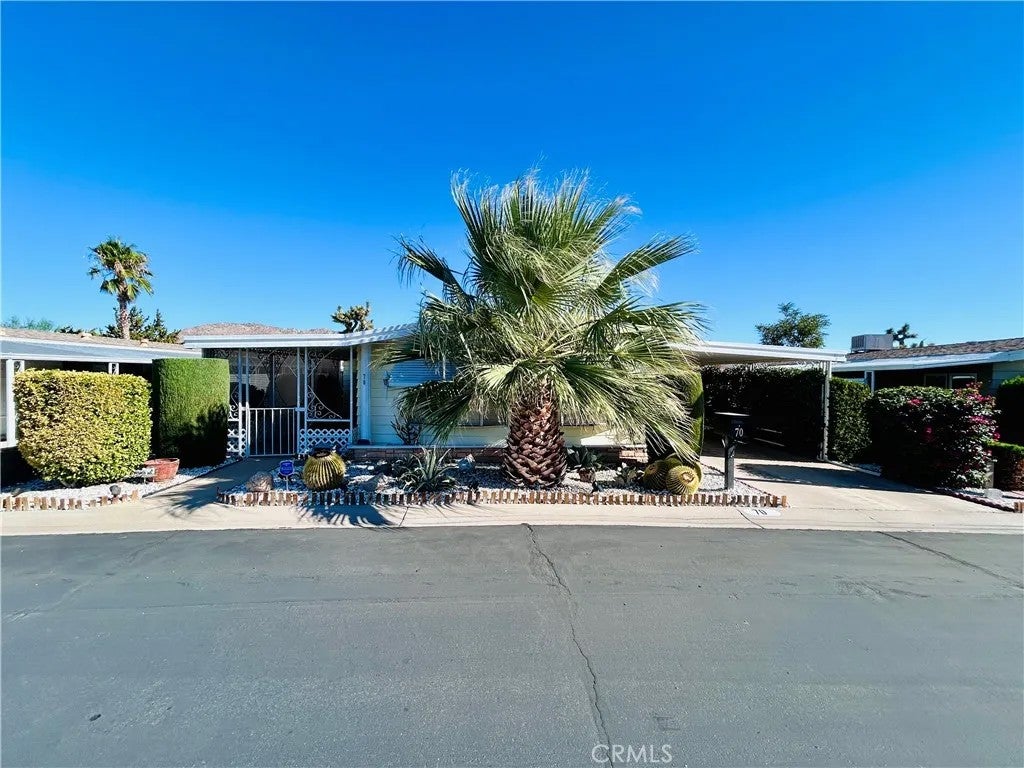 7501 Palm Spc 70 — photo
