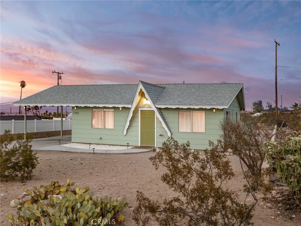 7393 Saladin — photo