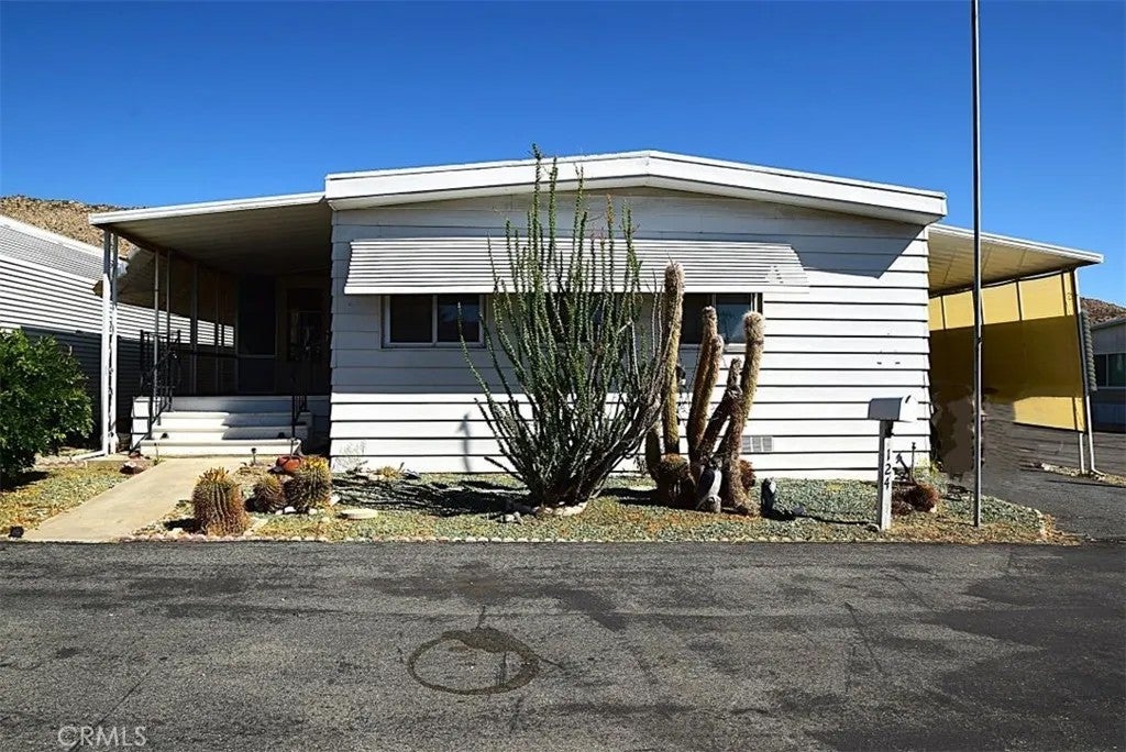 56254 29 Palms 124 — photo