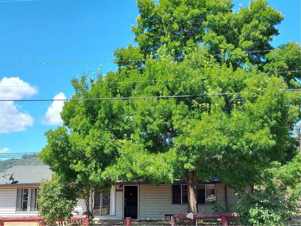 6135 Ridgeview Drive — photo