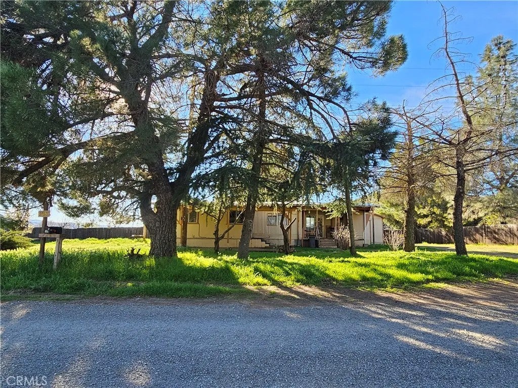2851 Pamela — photo