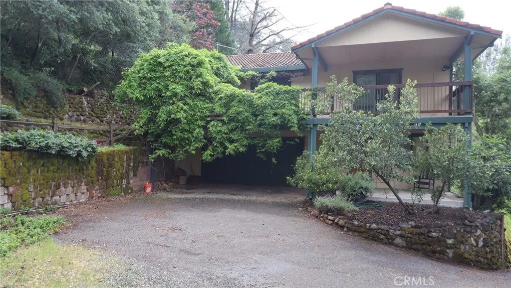 10535 Boren Bega — photo