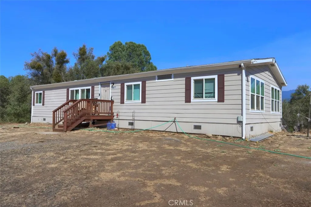 3877 Brodiea — photo