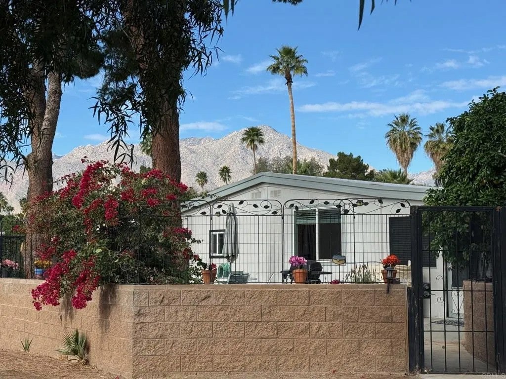 1010 Palm Canyon 324 — photo