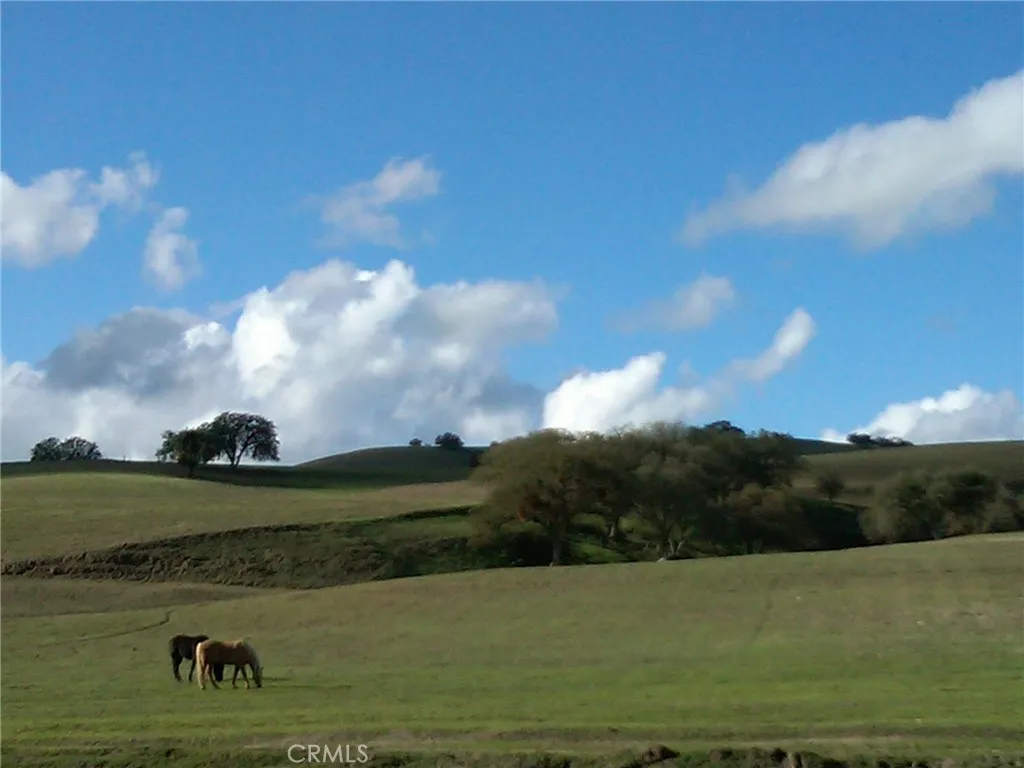 3470 Ranchita Cyn Road, San Miguel, CA 93451 — photo 3