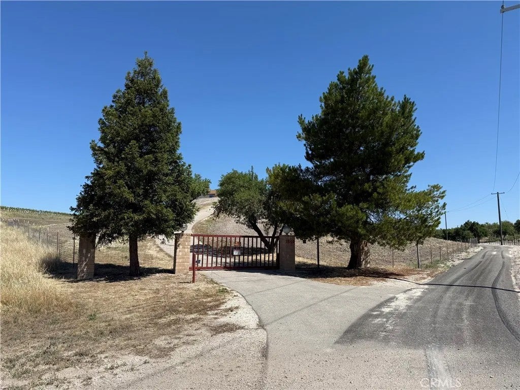 1640 Valley Quail — photo