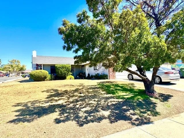 1908 Driftwood — photo