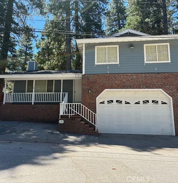 32079 Fern — photo