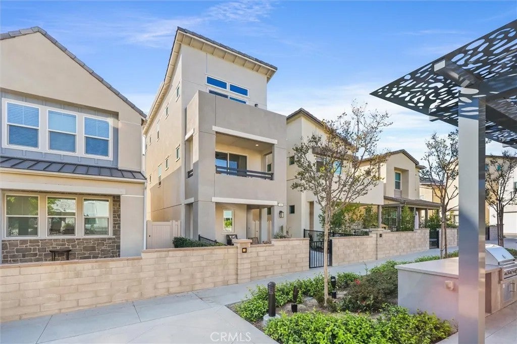 540 Sparrowhawk — photo