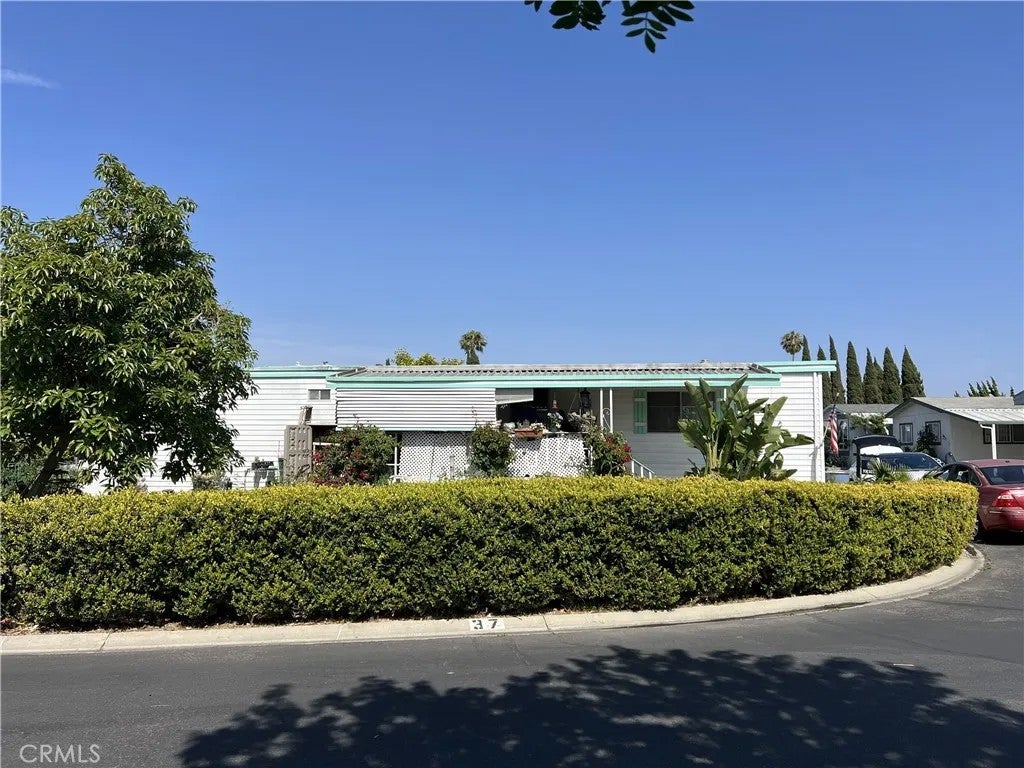 8200 Bolsa 37 — photo