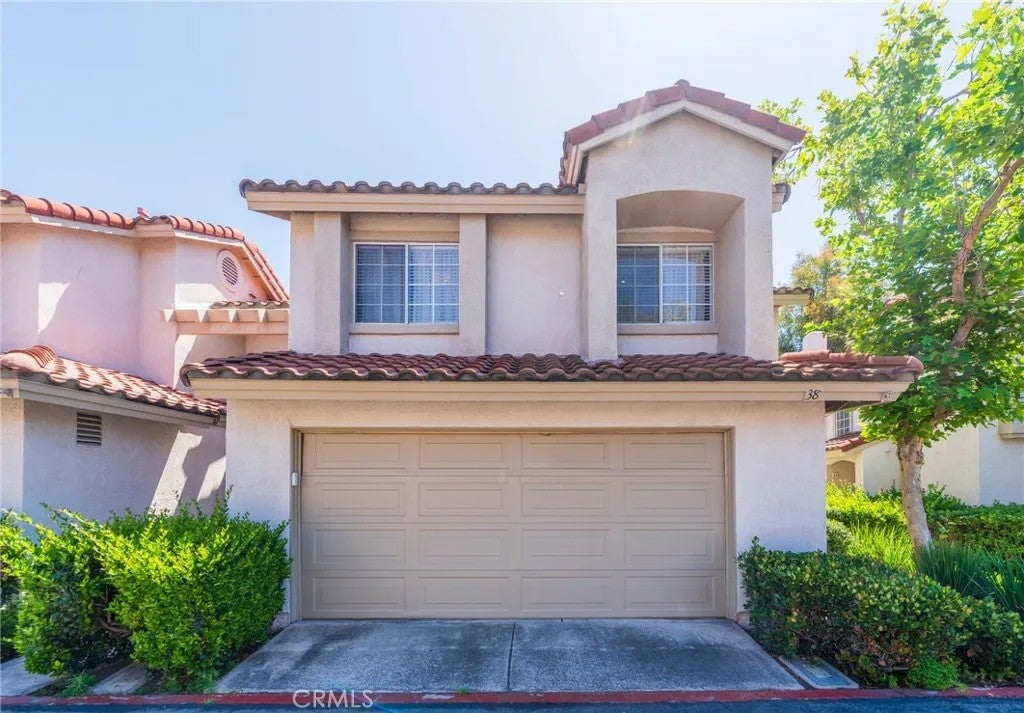 38 Carnation — photo