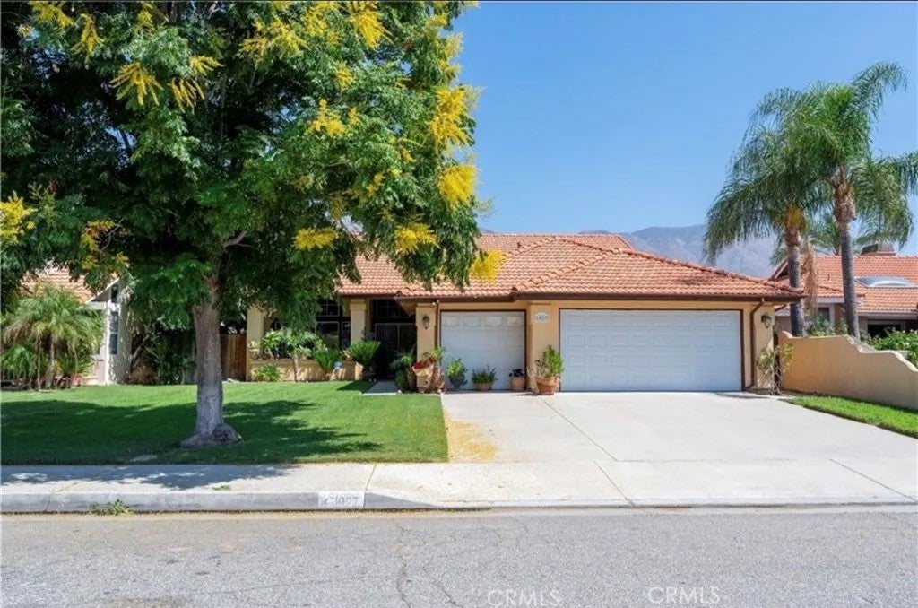 1087 Serena — photo