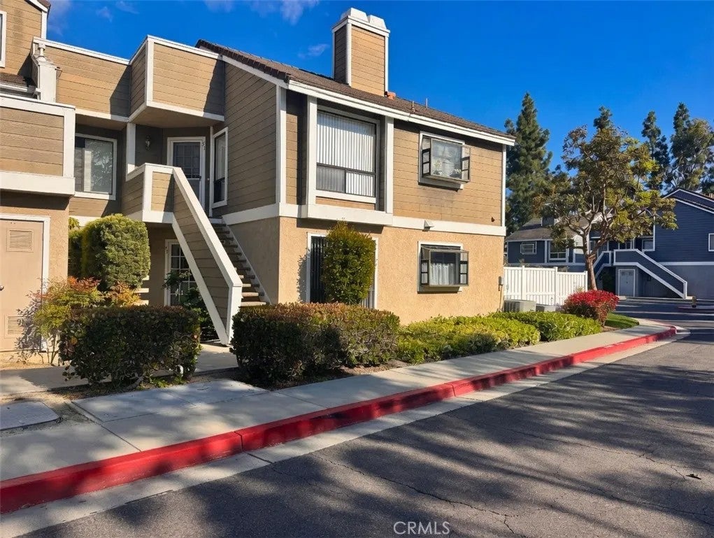 49 Clover — photo