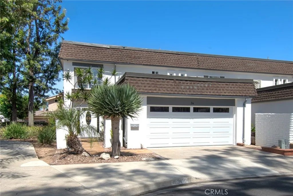 34 Senisa — photo
