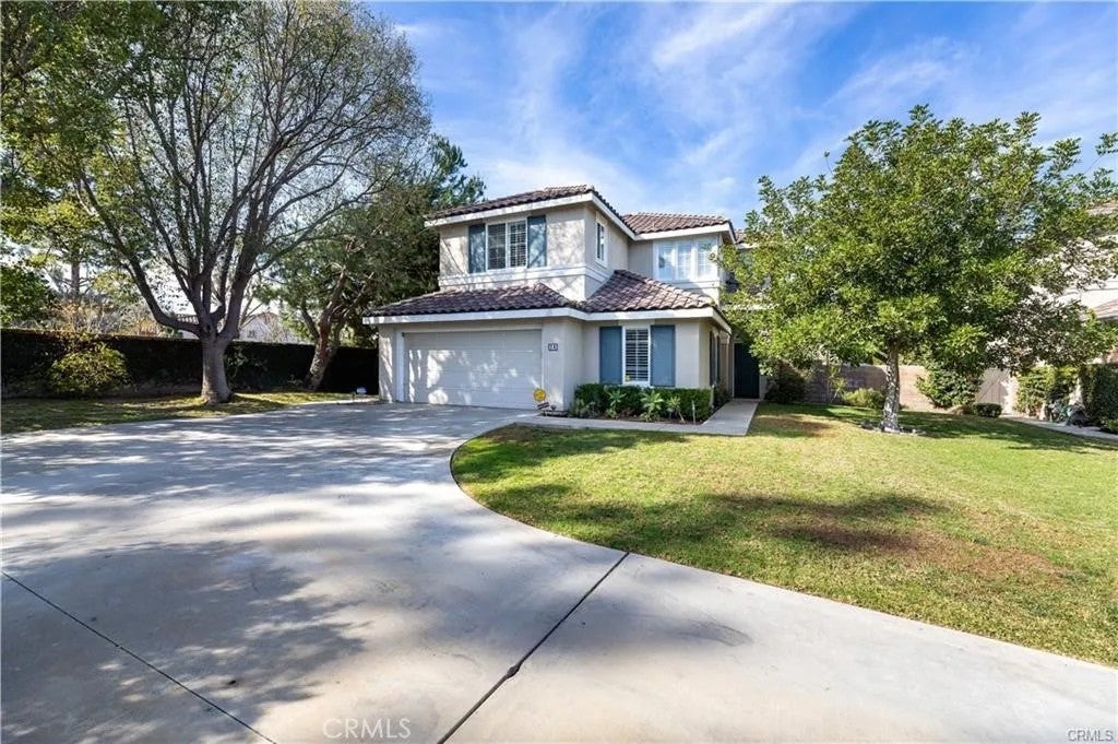24 Silveroak — photo
