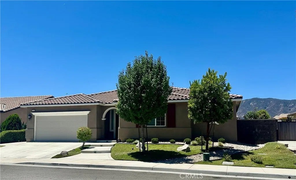 29209 Catalpa — photo