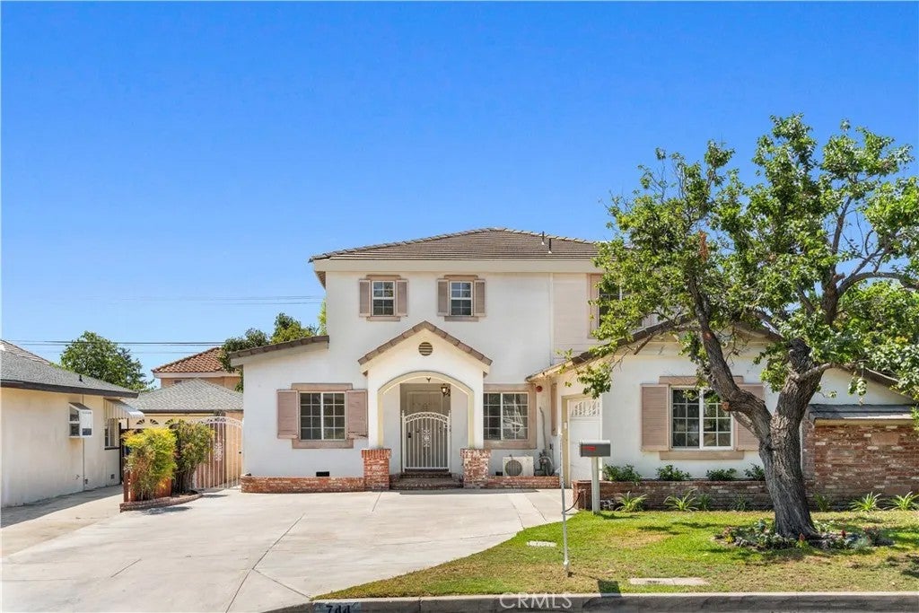 744 Callita — photo