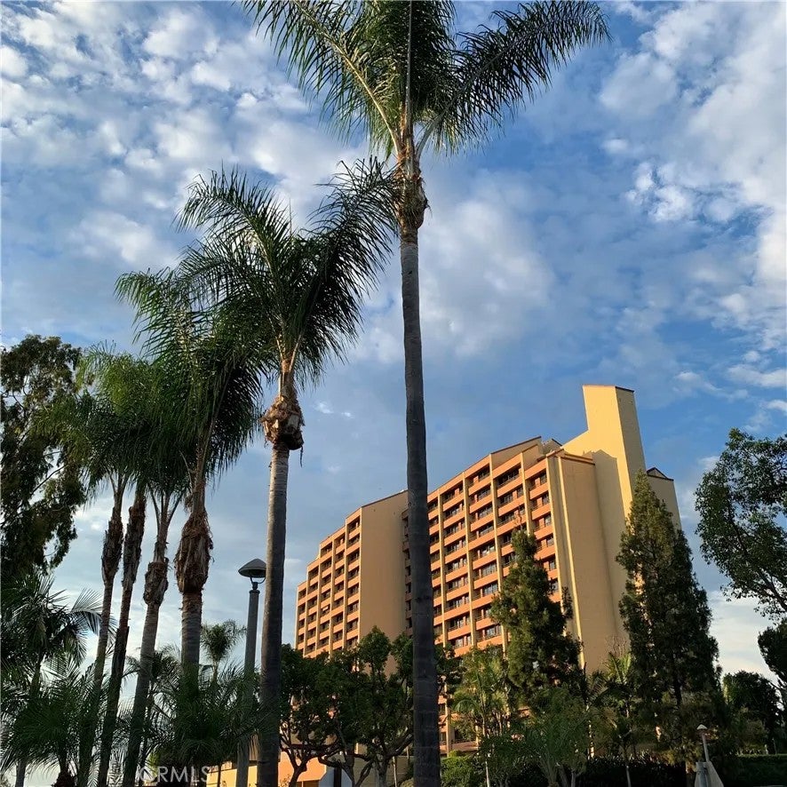 24055 Paseo Del Lago West 411 — photo