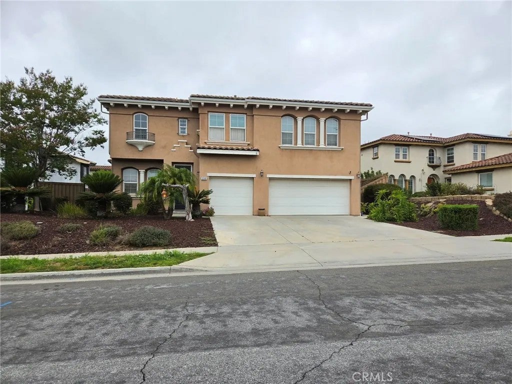 5530 Papagallo — photo