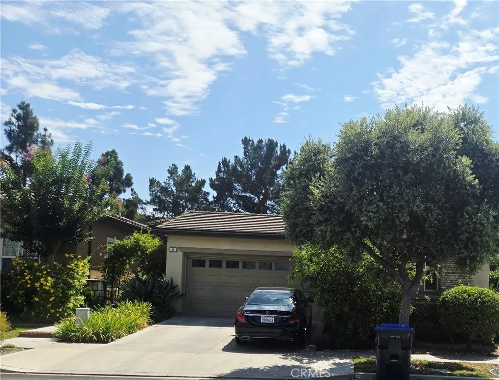 6 Saintsbury — photo