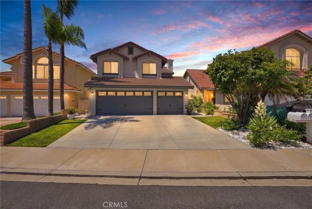24611 Steffy — photo