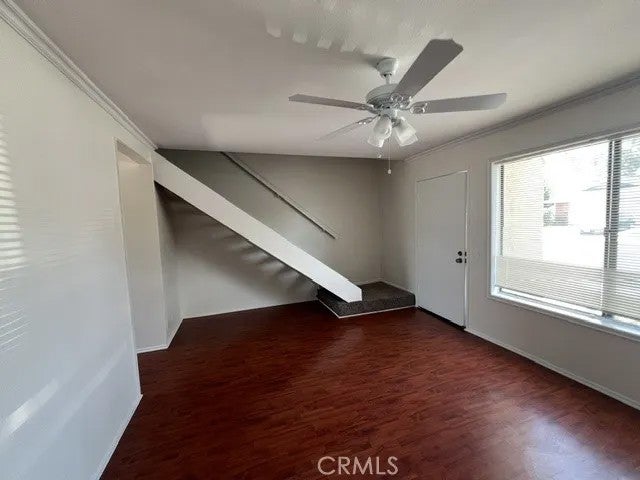 31 Meadowgrass — photo