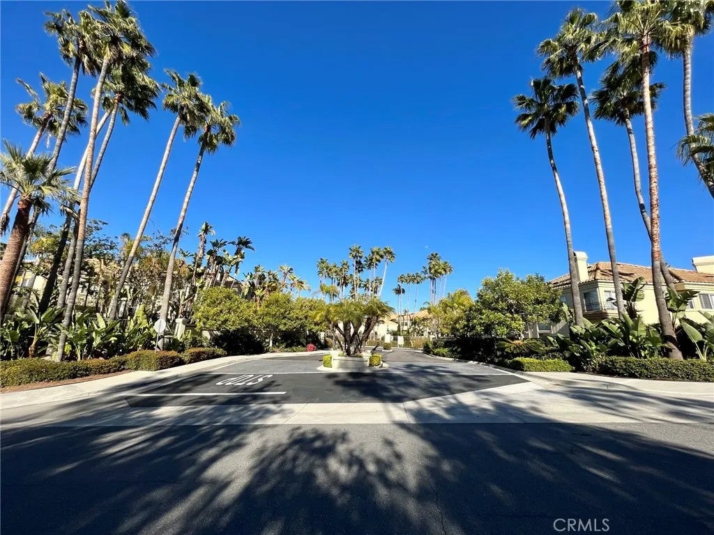 26465 La Traviata — photo