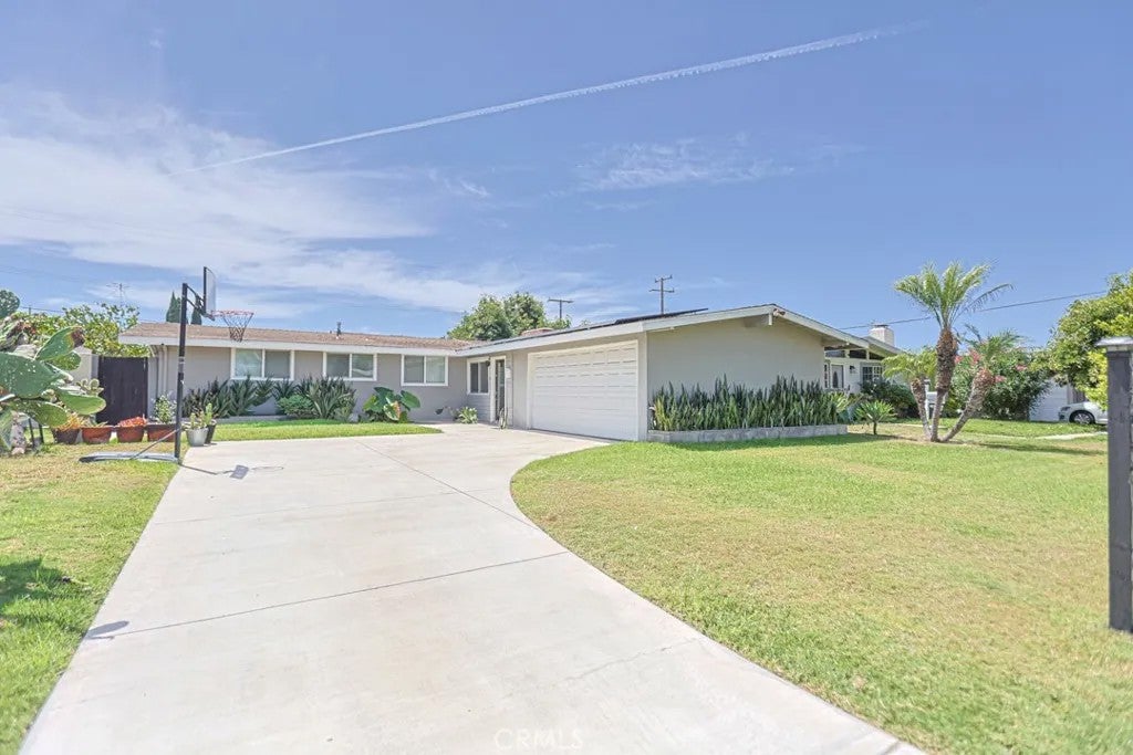 9102 Healey — photo