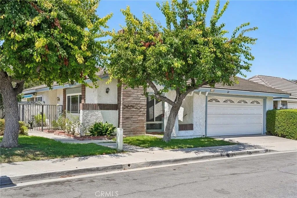 19 Woodrush — photo