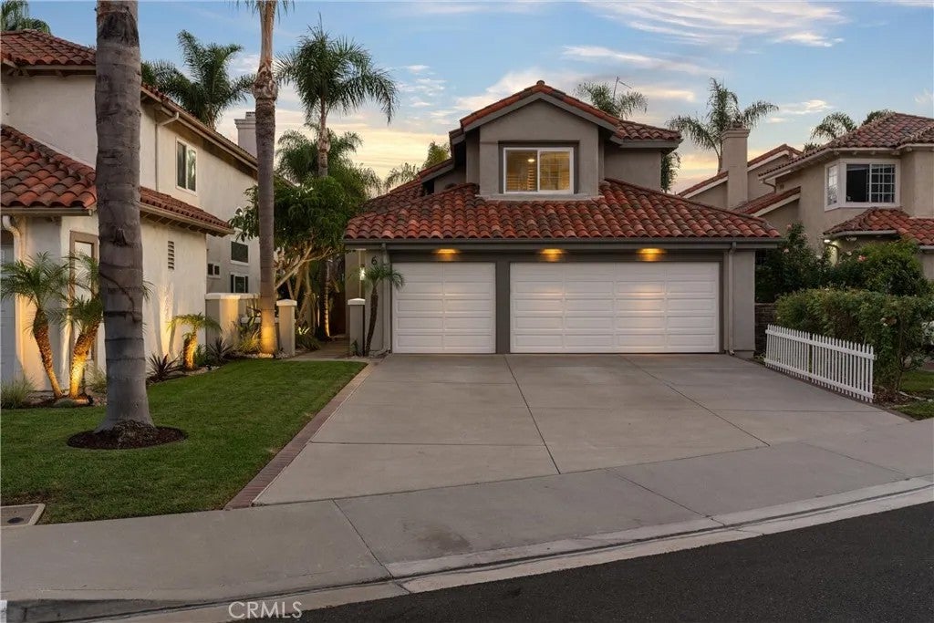 6 Aleria — photo