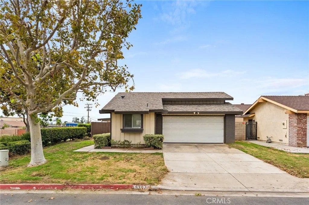 15797 Paine — photo