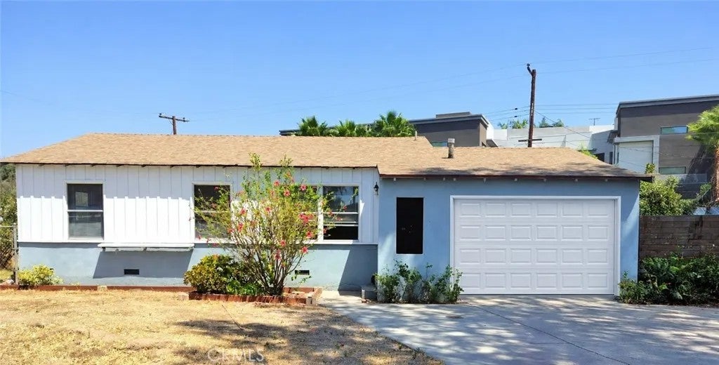 236 Olive — photo