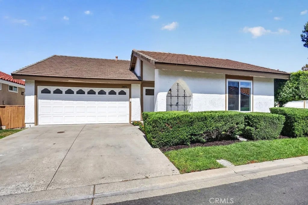 24056 Calendula — photo