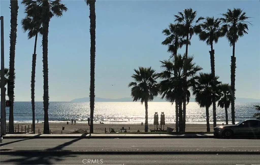 900 Pacific Coast — photo