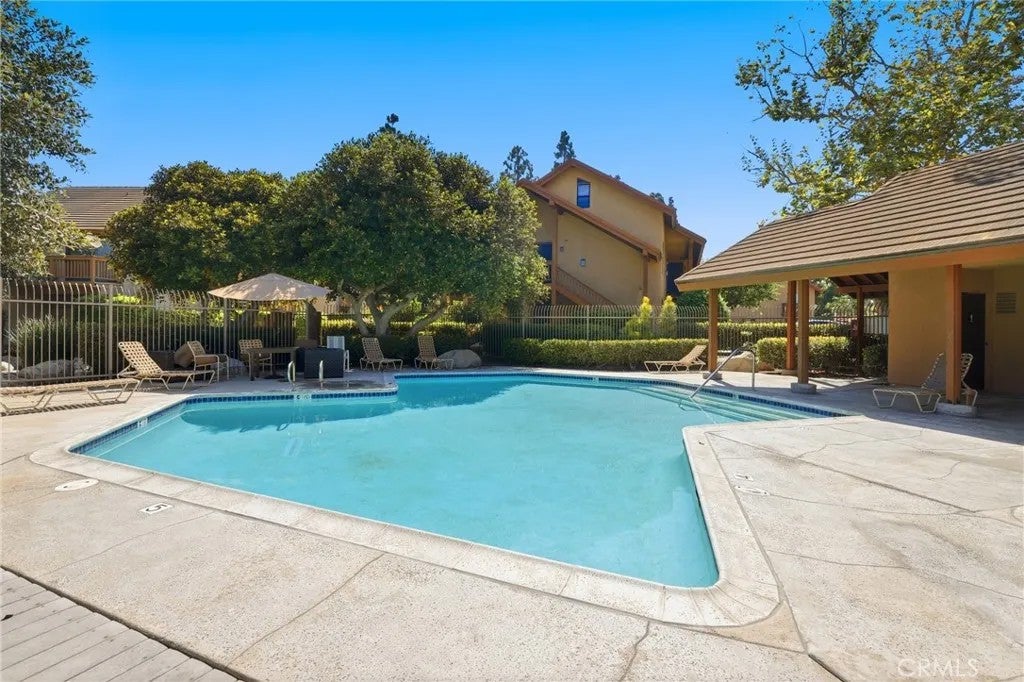 44 Tangelo — photo