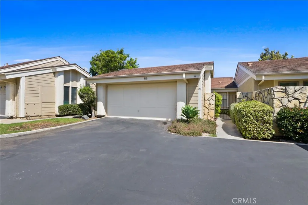 22 Clover — photo