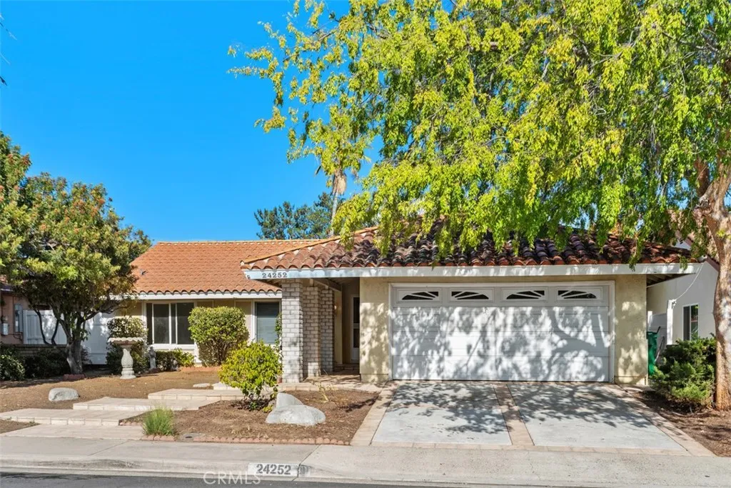 24252 Chrisanta — photo