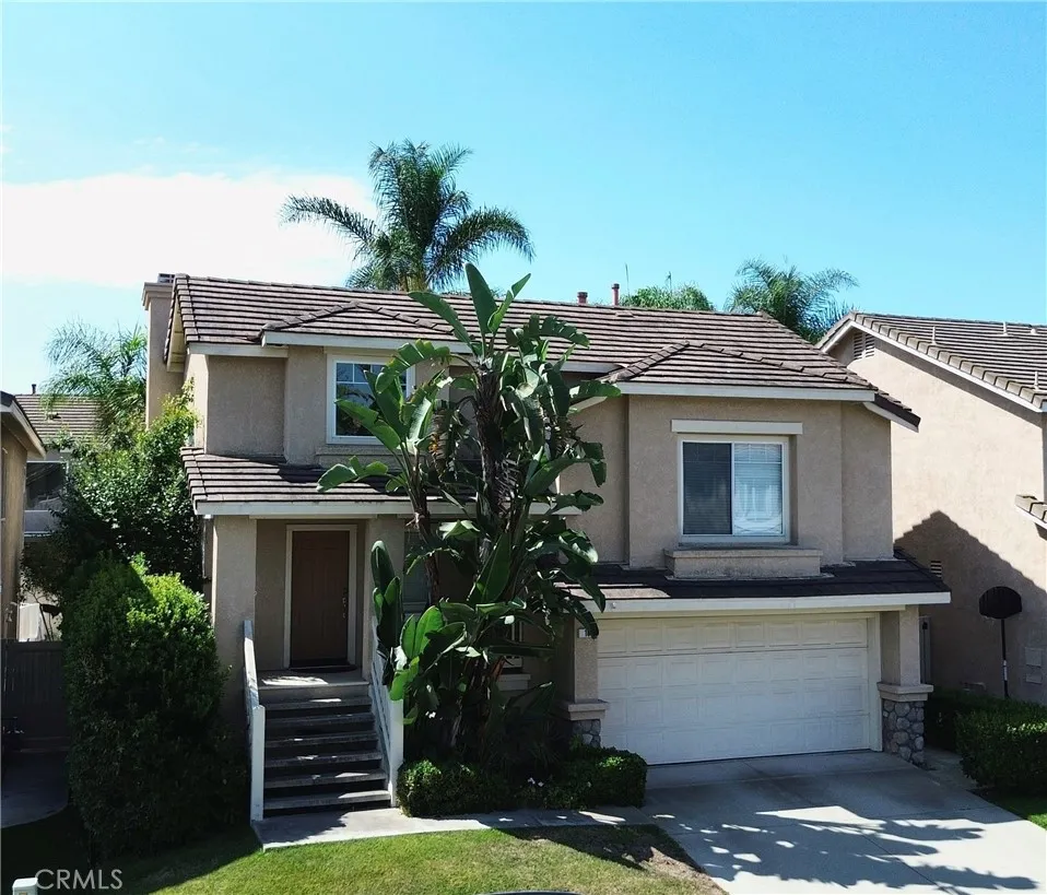 18 Calypso — photo