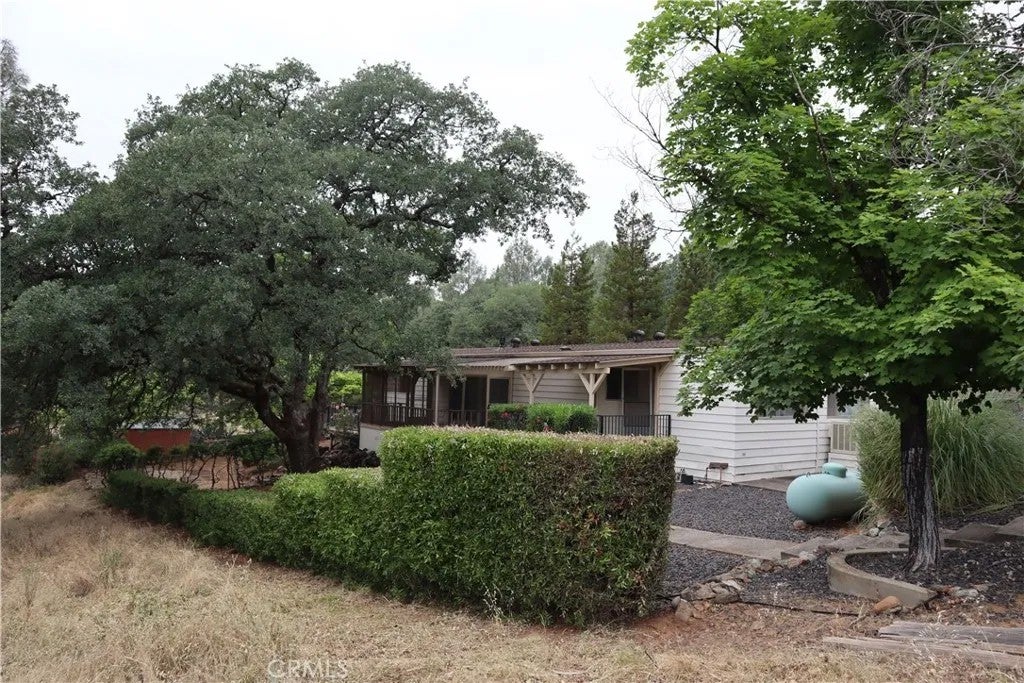 6165 Kanaka — photo