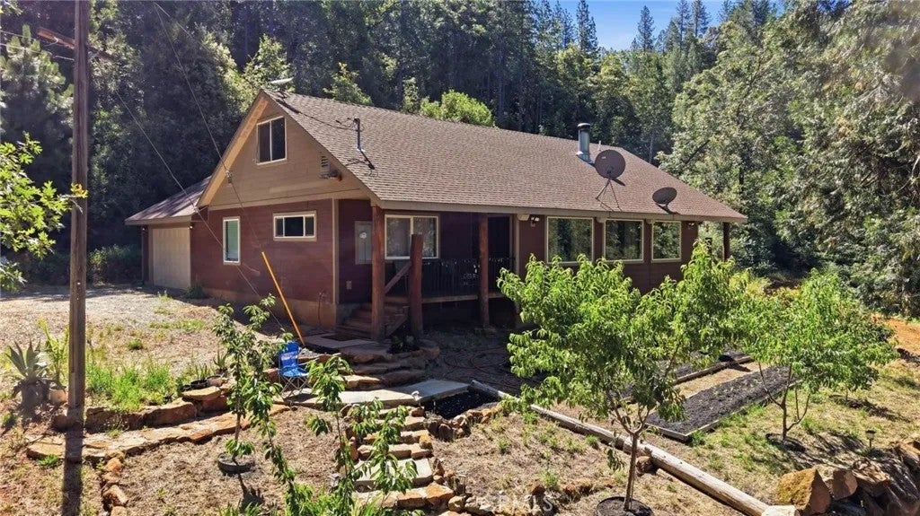 40 White Fir — photo