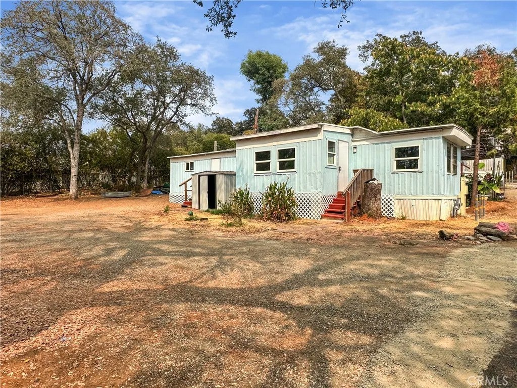37 Acacia 22 — photo