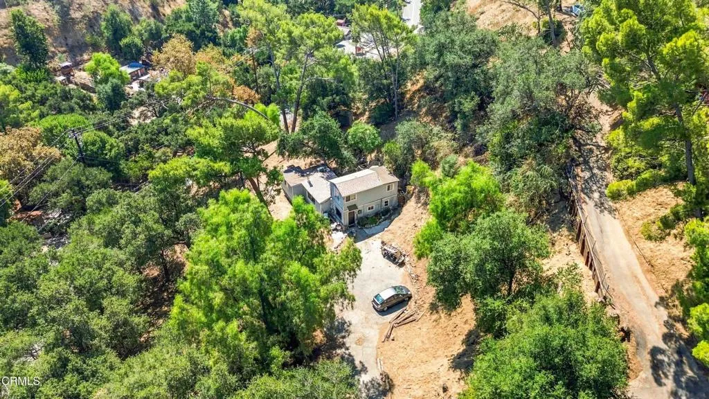 12211 Forest Trail — photo