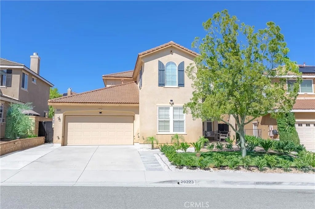 29223 Bernardo — photo