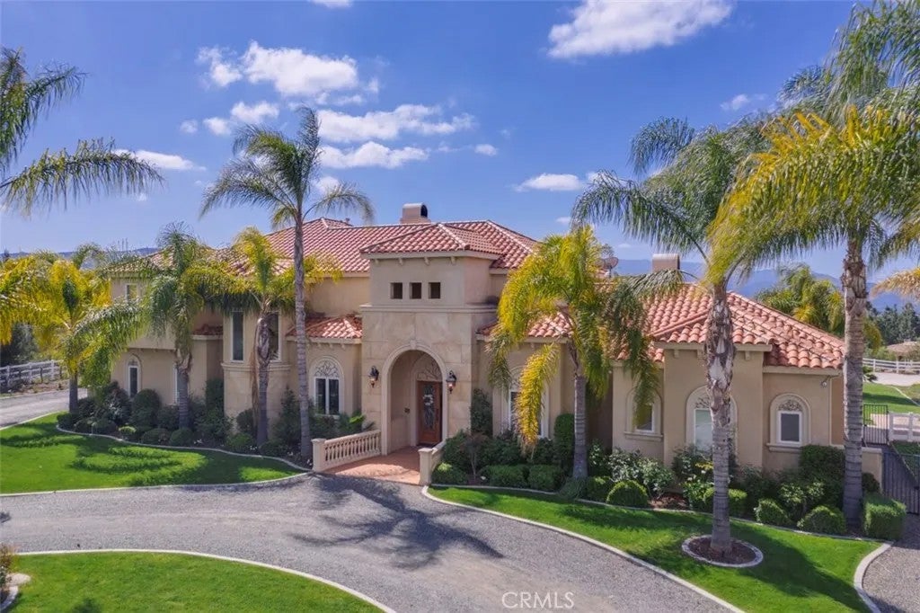 38750 Celita — photo