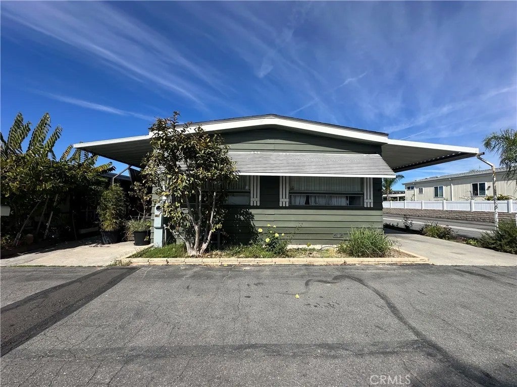 9851 Bolsa 175 — photo